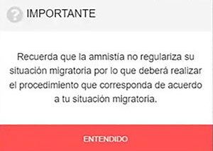 Amnesty Migraciones fines