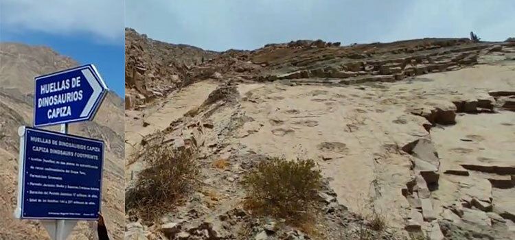 Dinosaur footprints of Capiza, Arequipa, Peru