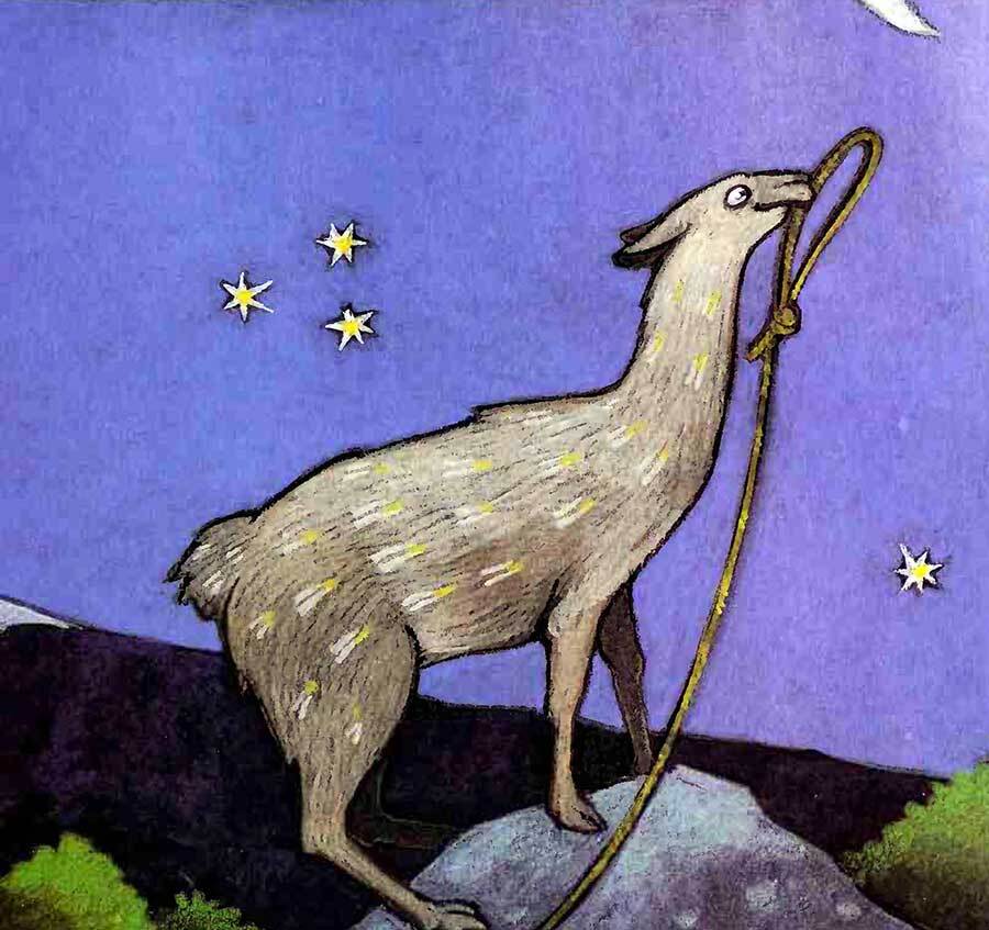 moon rope peruvian folktale llama