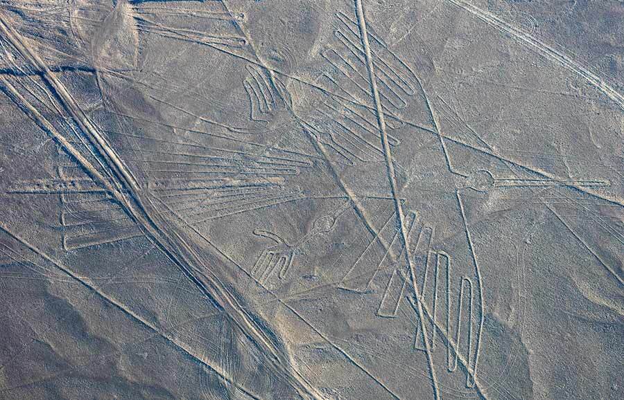 nazca lines peru the condor