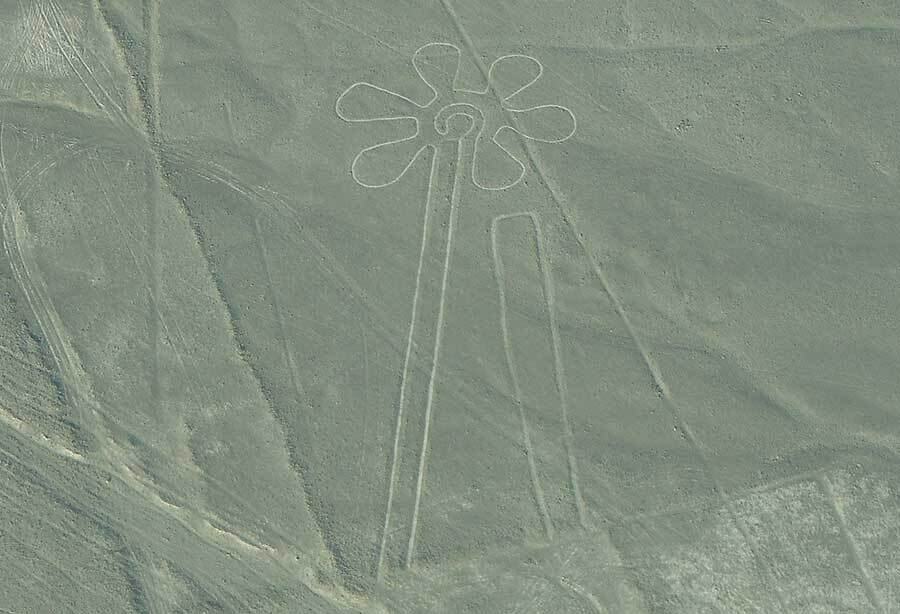 nazca lines peru the flower