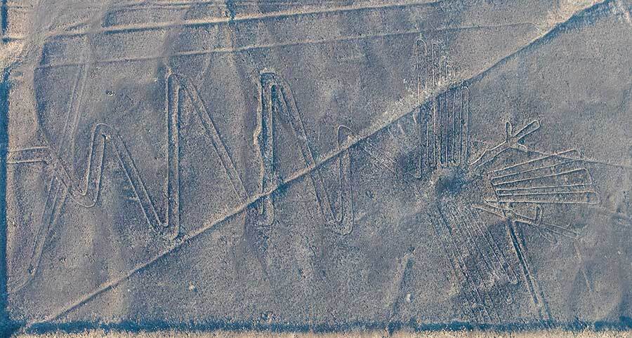 nazca lines peru the heron