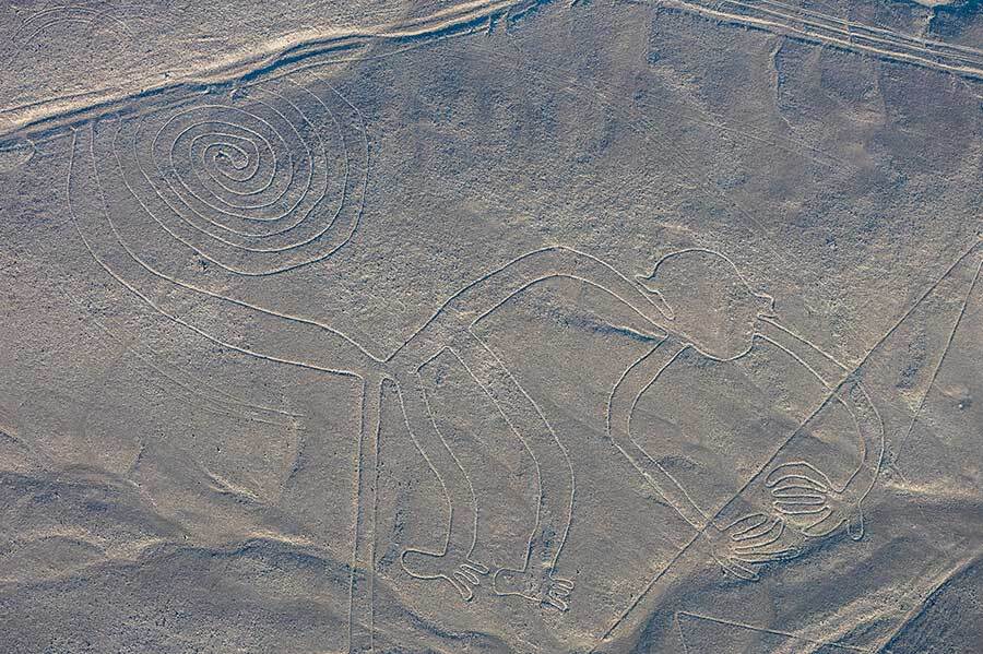 nazca lines peru the monkey