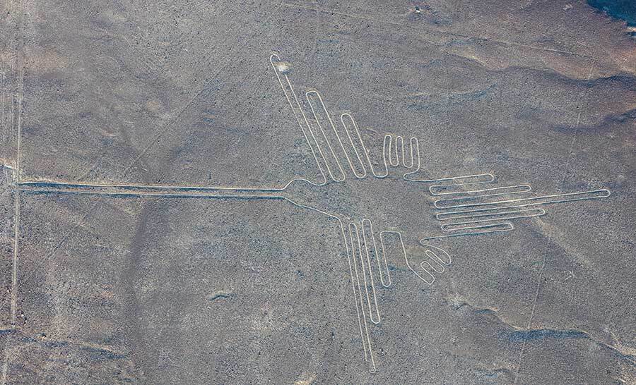 nazca lines the hummingbird