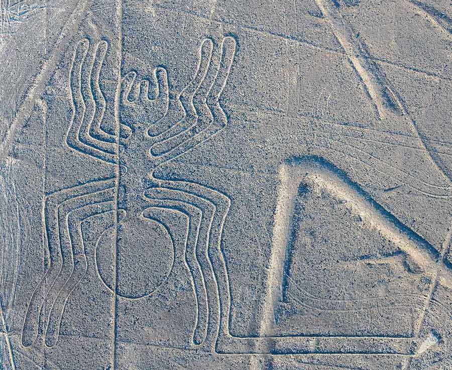 nazca lines the spider