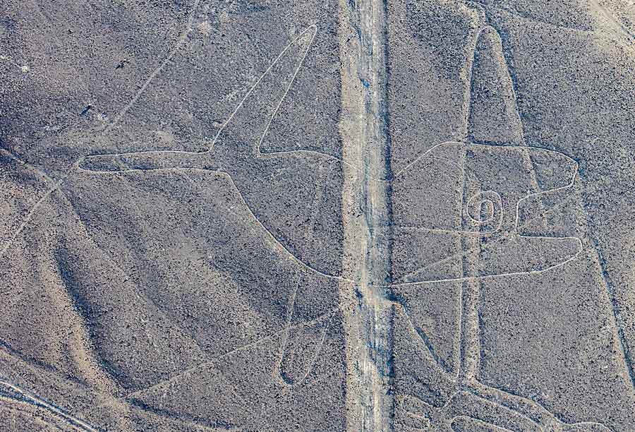 nazca lines the whale