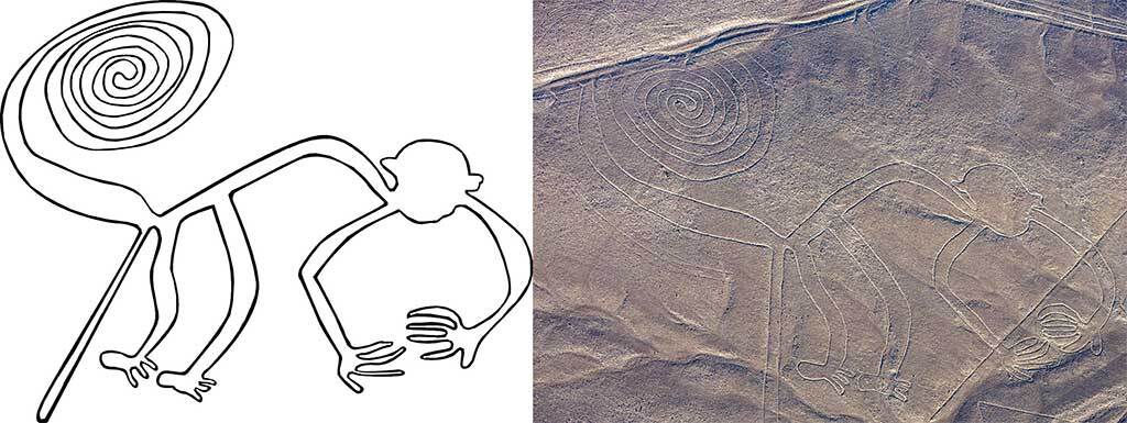 The Monkey Nazca Line in Peru