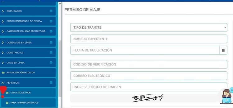 Application for a travel permit in Peru