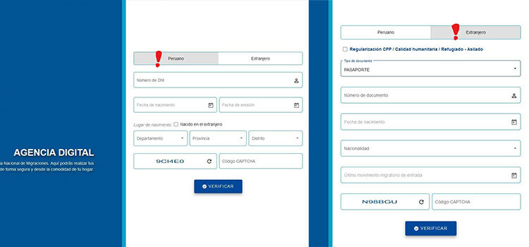 Process application for immigration status