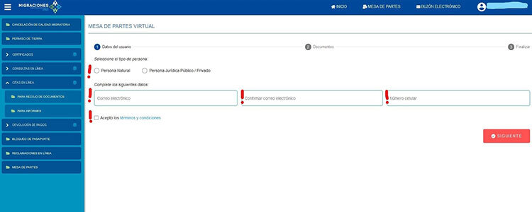 Process application for immigration status