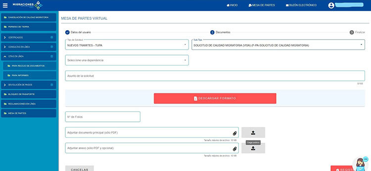 Process application for immigration status