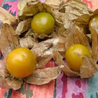 Typical Peruvian Fruits