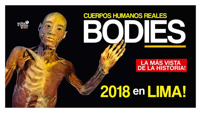 bodies-cuerpos-humanos-reales-lima-2018
