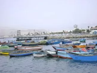 ancon12