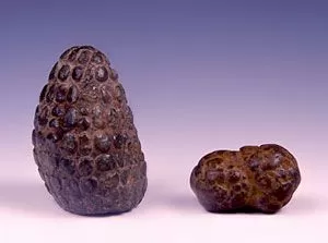 Larco Museum Lima: lithics