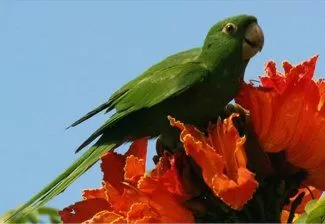 chaclacayo6 chaclacayo6