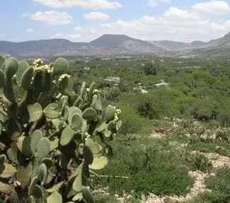 cieneguilla2