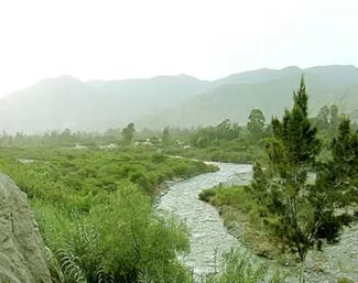 cieneguilla9