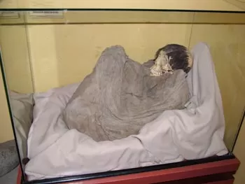 Ernst Middendorf Museum - mummy, Lima
