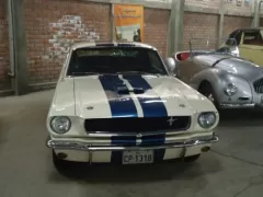 Vintage Car Museum Nicolini - Shelby GT-350