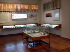 Museum Antonio Raimondi, Lima