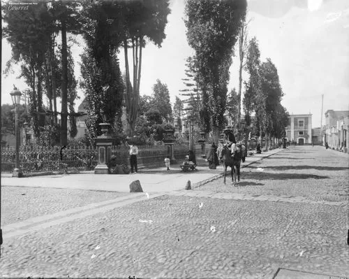 italia4
