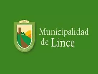 lince1 lince1