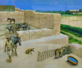 maranga4