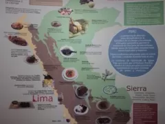 Gastronomy Museum - Museo de la Gastronomia, Lima