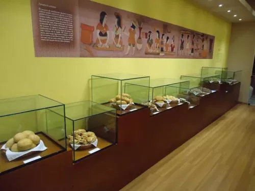 Gastronomy Museum - Museo de la Gastronomia, Lima