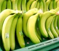 Organic Peruvian Bananas