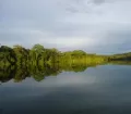 Peruvian Amazon Basin near Tambopata