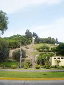 surco20