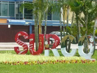surco21