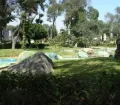 Fish pond at Parque de la Exposicion