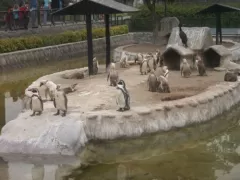 Huachipa Zoo