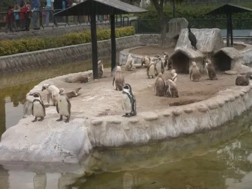Huachipa Zoo Huachipa Zoo