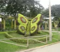 Botanical Garden - Parque de las Leyendas