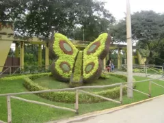 Botanical Garden - Parque de las Leyendas