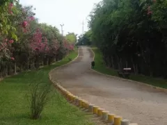 Ecological Park Loma Amarillo