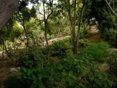 Ecological Park Loma Amarillo