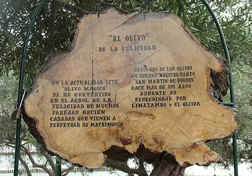Parque El Olivar