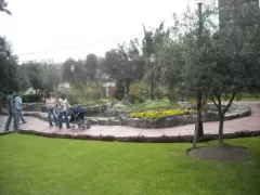 Parque El Olivar