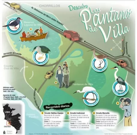 Natural Reserve Pantanos de Villa in Chorrillos