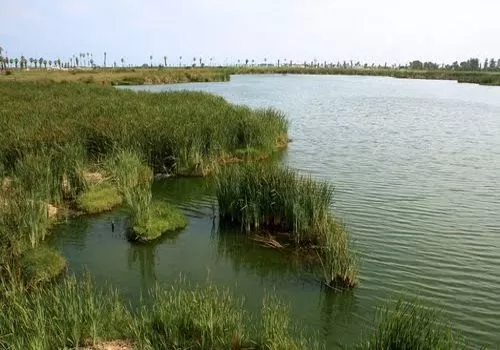 Natural Reserve Pantanos de Villa in Chorrillos