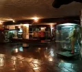 Museo Taurino de la Plaza de Acho