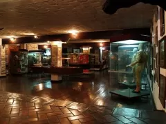 Museo Taurino de la Plaza de Acho
