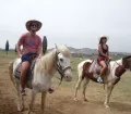Haku Tours - Horse-Riding