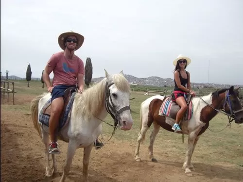 Haku Tours - Horse-Riding Haku Tours - Horse-Riding