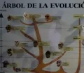Parque de la Imaginacion, Lima - Evolution